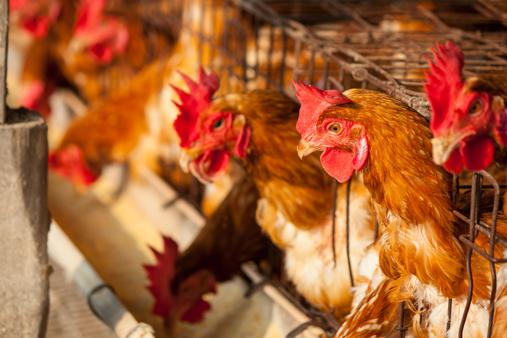 Fotolia_88422557_Subscription_Monthly_M