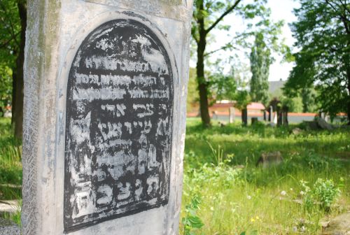 cmentarz żydowski kalisz - UM Kalisz
