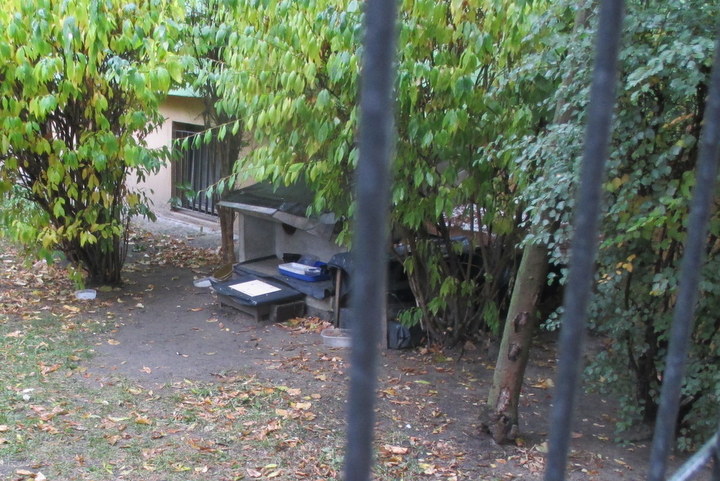 domki dla kotów w ostrowie