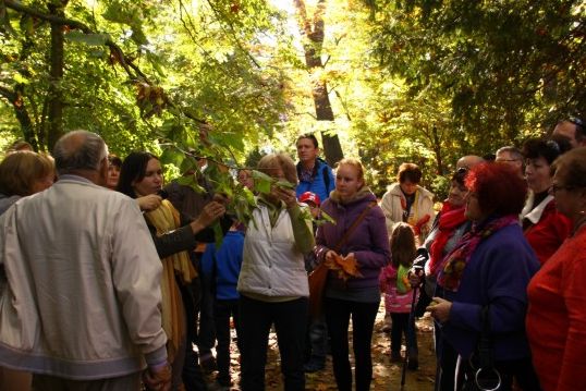 2014-barwyjesieni_06 - Instytut Dendrologii PAN