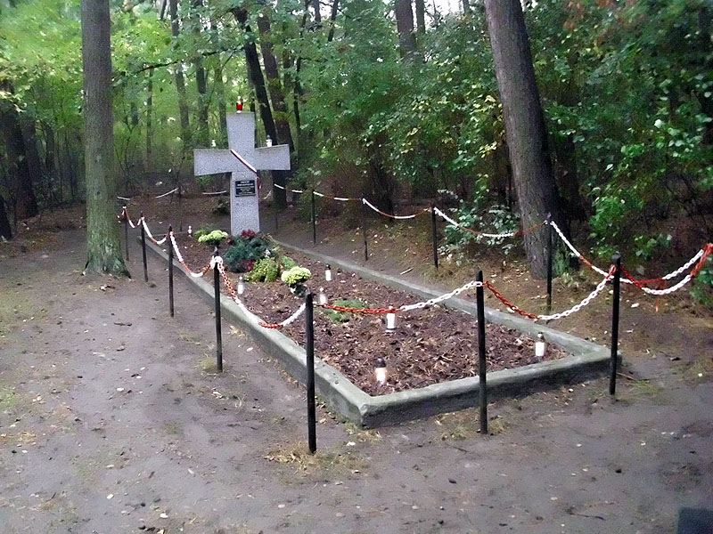 Uczniowie z Dąbrowy w gm. Dopiewo