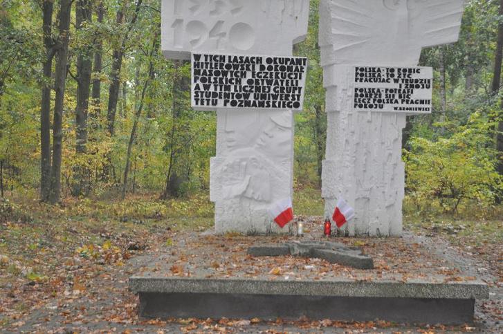 Tomasz Talarczyk - Zakrzewo