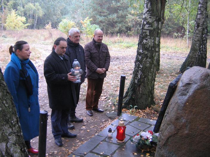 Dariusz Paprocki - Las, pogranicze gmin Murowana Goślina i Czerwonak