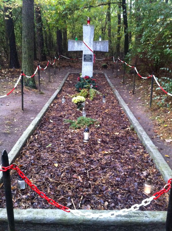 Las Palędzko-Zakrzewski, Głaz w Gołuskach