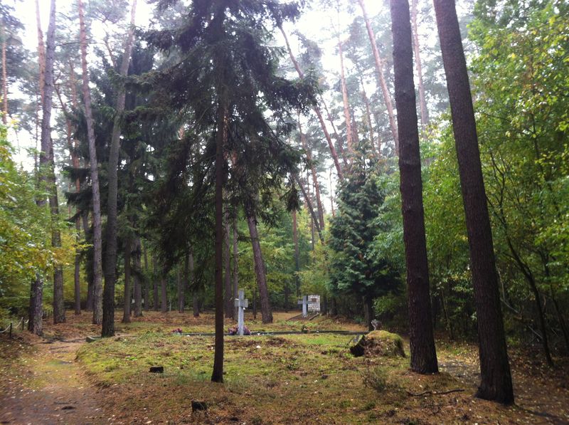 Las Palędzko-Zakrzewski, Głaz w Gołuskach