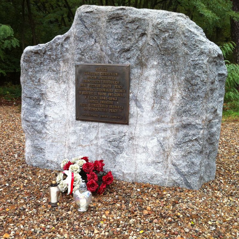 Las Palędzko-Zakrzewski, Głaz w Gołuskach