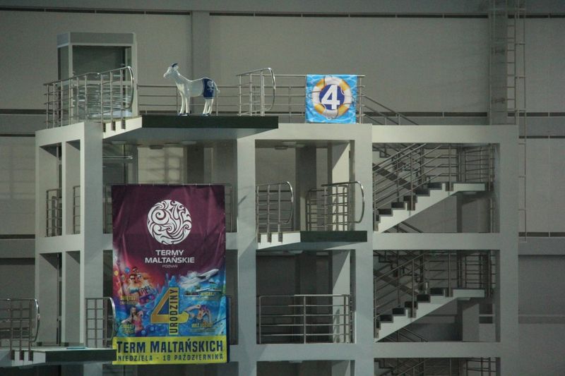 Grzegorz Maciejewski