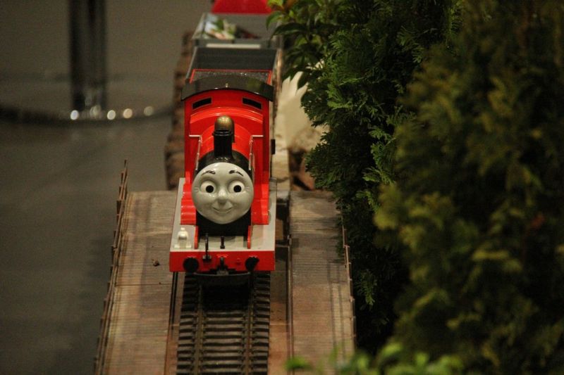 Grzegorz Maciejewski