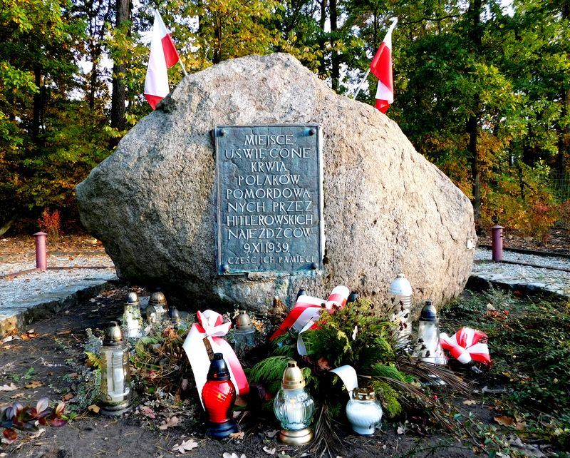 Kurza Góra k. Kościana