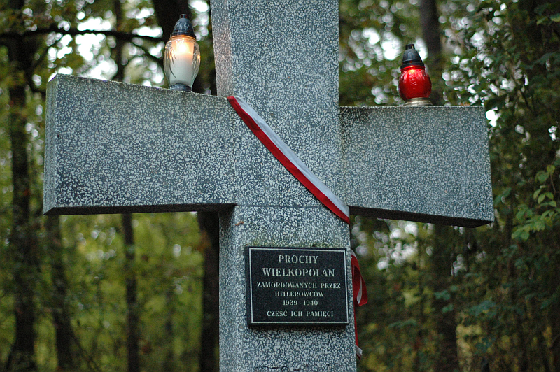 Zapal Znicz 2015 las Zakrzewo 1 - Las Zakrzewo - Tom Foto