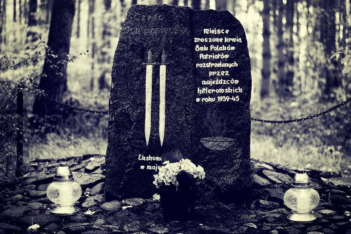 W Mogilnie, Świerkówcu, Szczeglinie oraz Padniewku