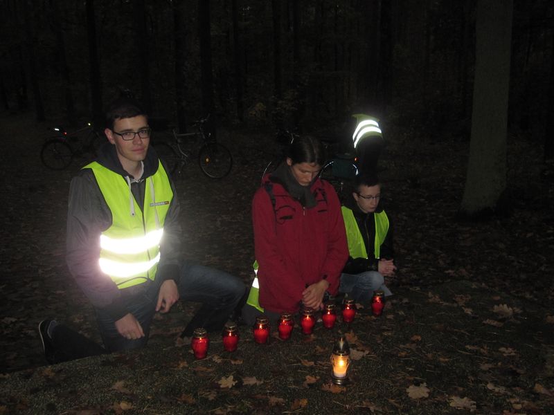 Lasy Palędzkie - Zakrzewo