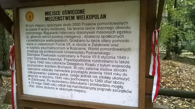 Wypalanki koło Stęszewa