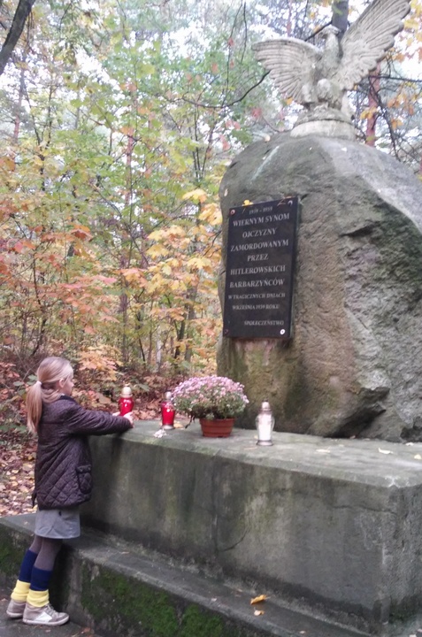 Pniowiec, Strzybnica, Tarnowskie Góry 