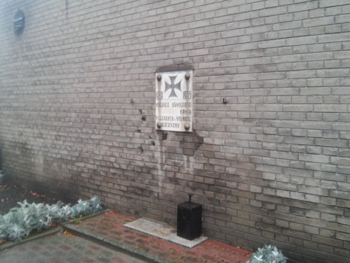 Filip Grudzień 4. Ciechocińska Drużyna Wędrowników 