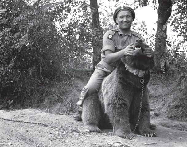 niedzwiedz wojtek - Niedźwiedź Wojtek