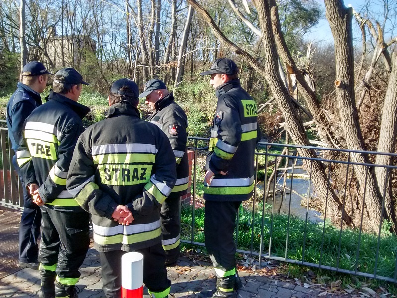 zatrucie rzeki Głowna - Wojciech Chmielewski
