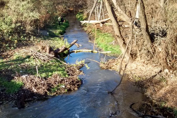 Wojciech Chmielewski